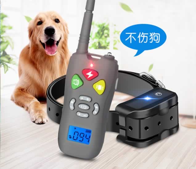 訓(xùn)狗器
